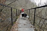 45 Ponticello in ferro e cemento della Societa Orobia sul torrente Bordesiglio